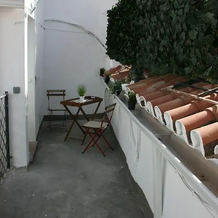 Malaguena Salerosa 