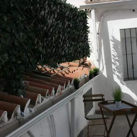 Malaguena Salerosa 