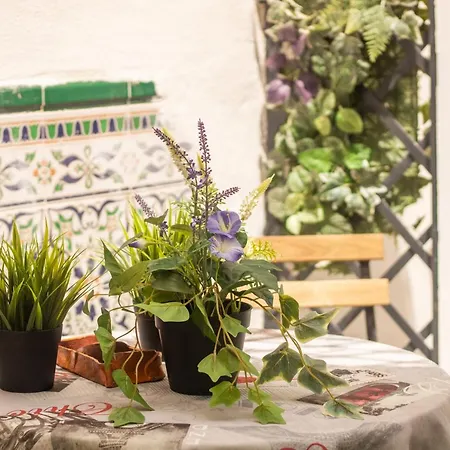 Apartamento Malaguena Salerosa 