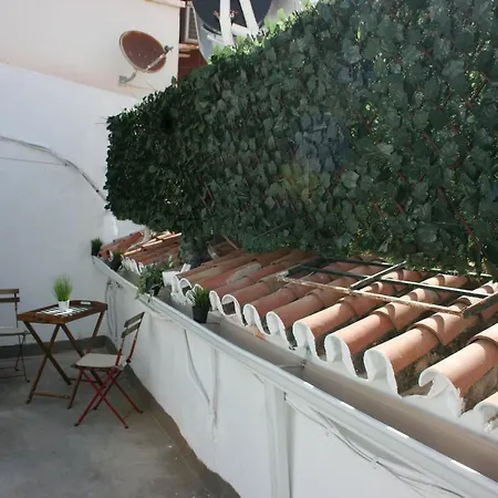 Malaguena Salerosa 